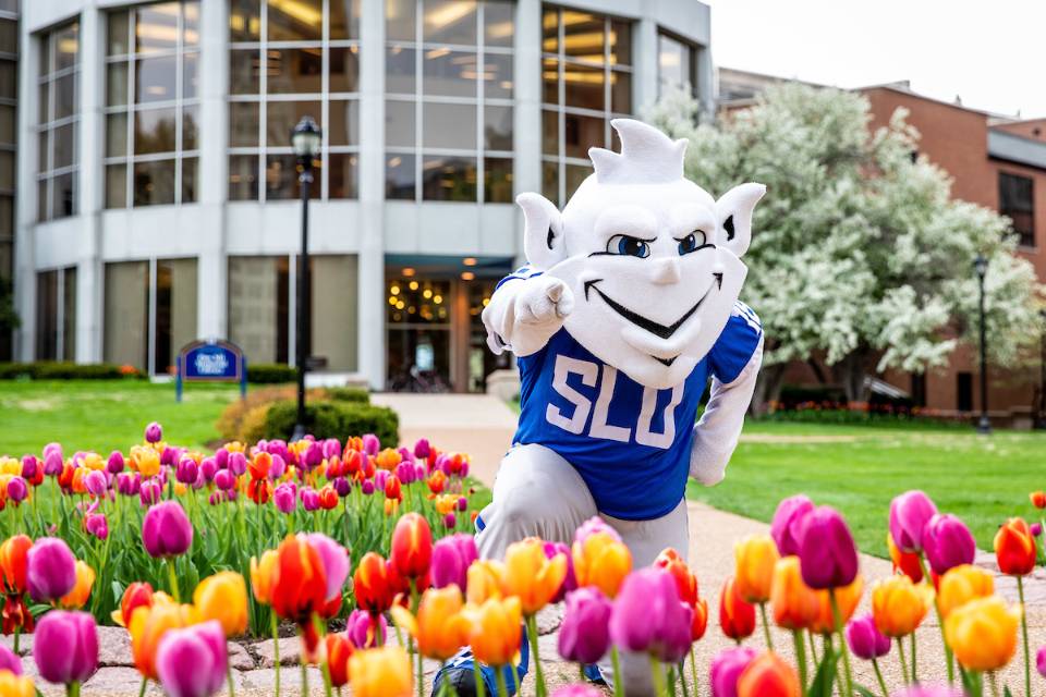 The Billiken standing in the tulips outside of Pius XII Library.