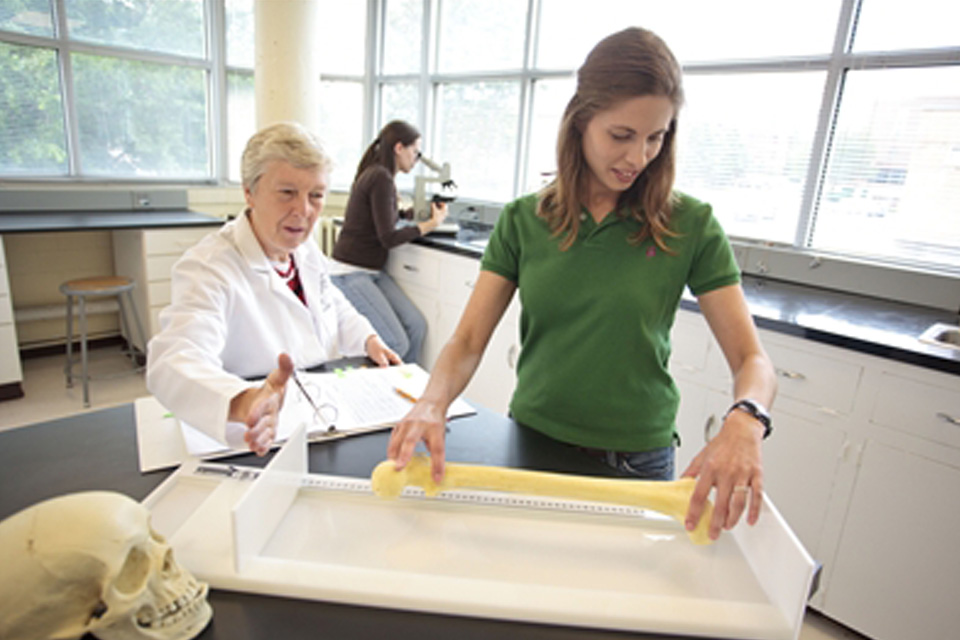 A student measures a bone in a lab while a professor supervises. In the background, a student looks into a microscope.