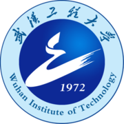 Wuhan Institute Logo
