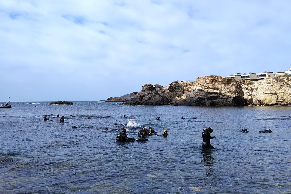 A group of people wearing wet suits in shallow water practicing scuba diving. A rocky cliff shoreline is in the background.