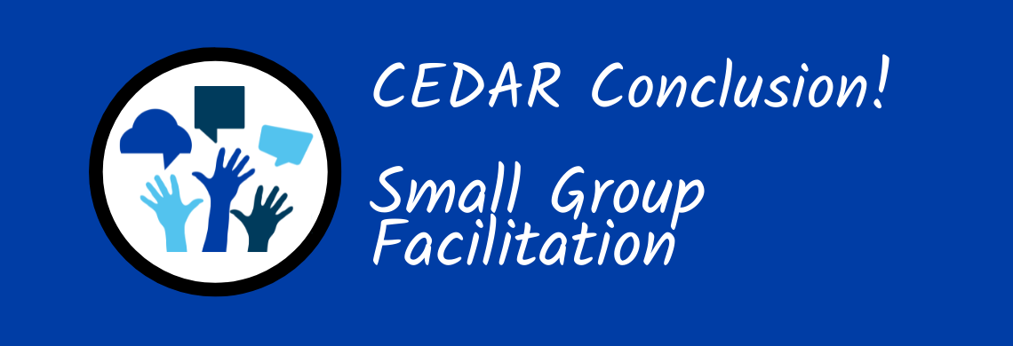 CEDAR Conclusion! Small Group Facilitation