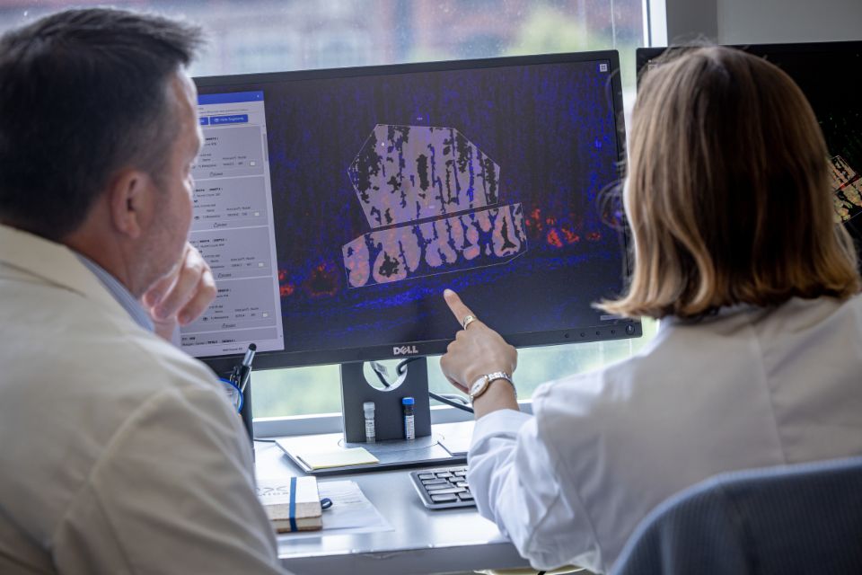 A researcher, seen from behind, gestures at an image on a computer screen while another researcher looks on.