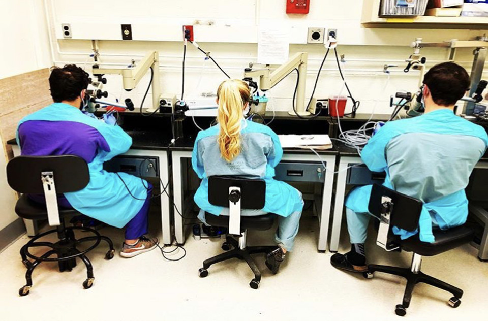Three residents sit in a lab facing their work stations, backs to the camera.