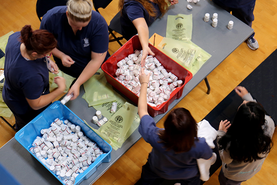 Students sort bottle of prescription drugs