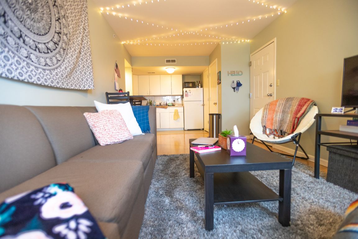 More of Shared Living Space in the Village Apartments.