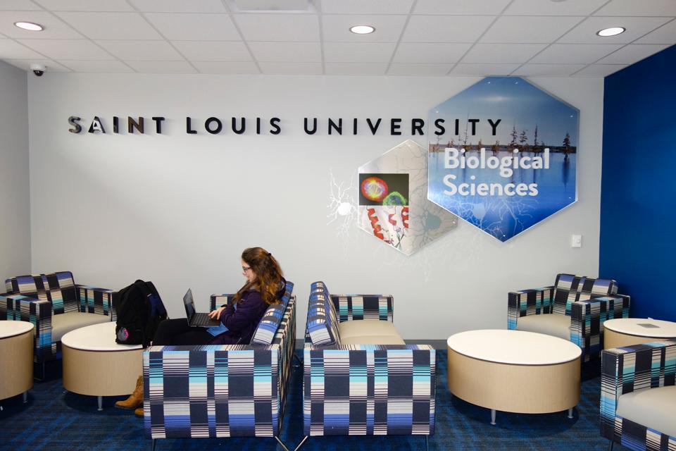 A student works in the newly renovated lobby of Macelwane Hall. Photo by Ellen Hutti.