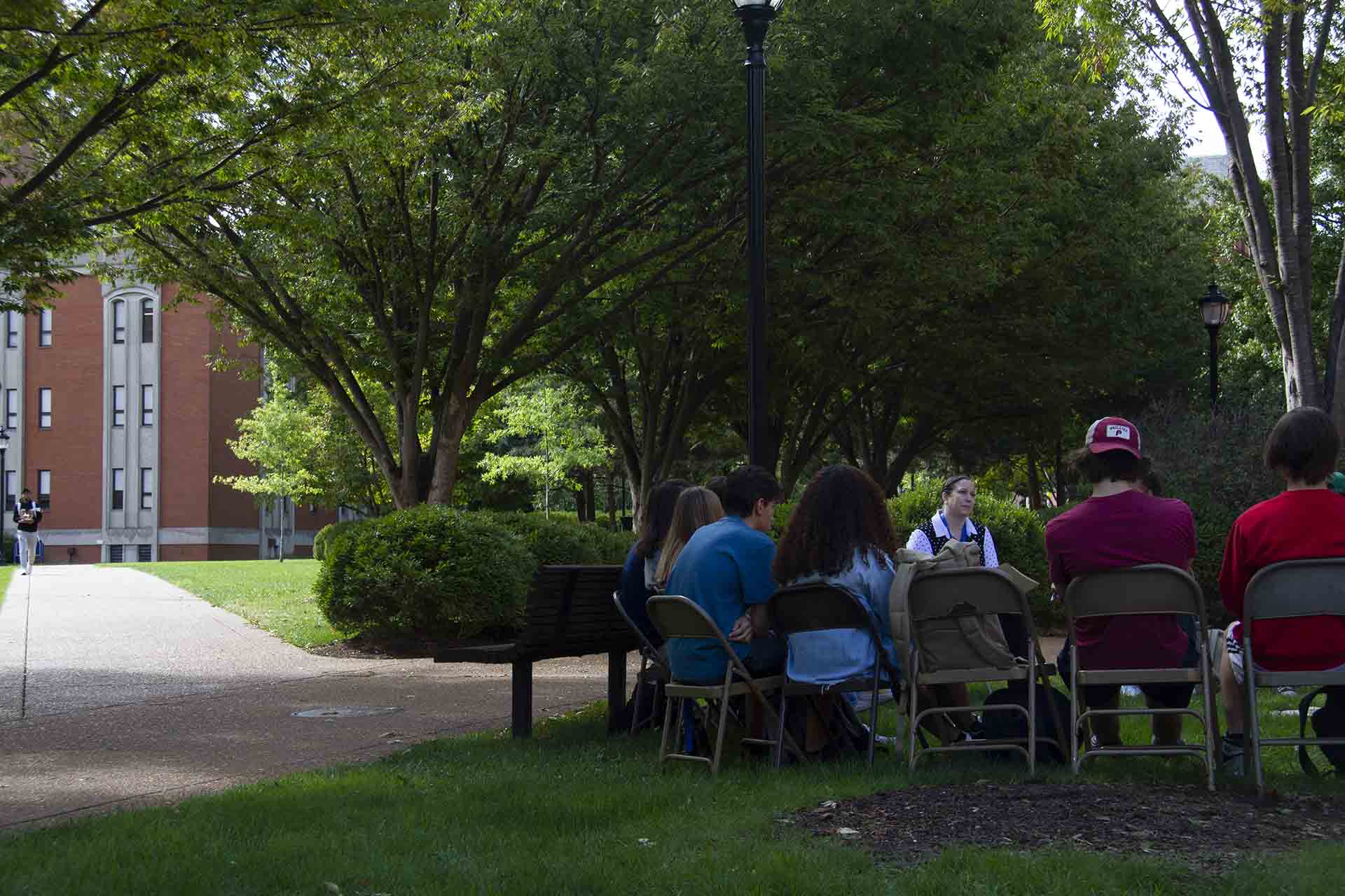 Students sitting outside under a bower of green leaves.