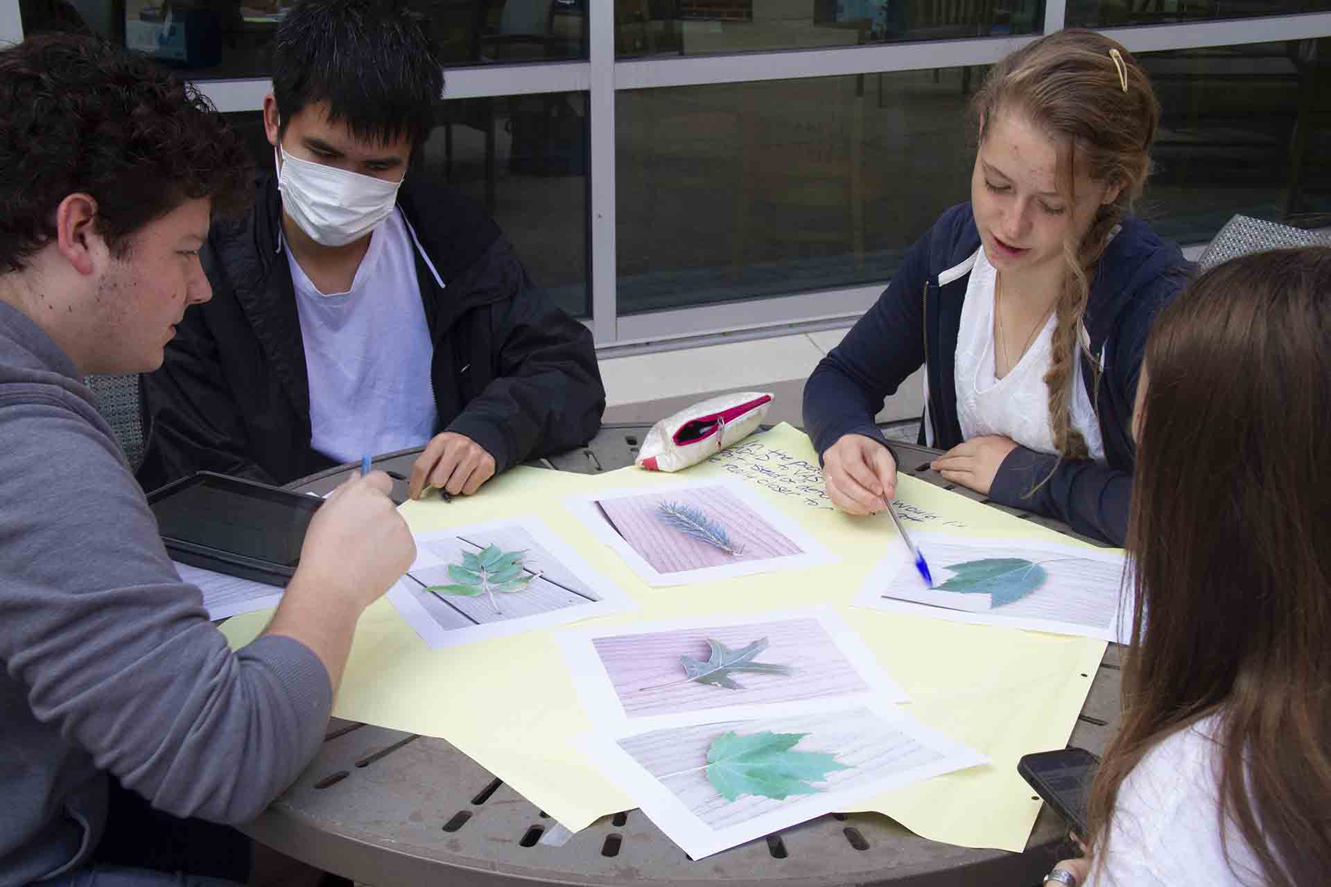 Students discuss a series of drawings while sitting at an outdoor table.