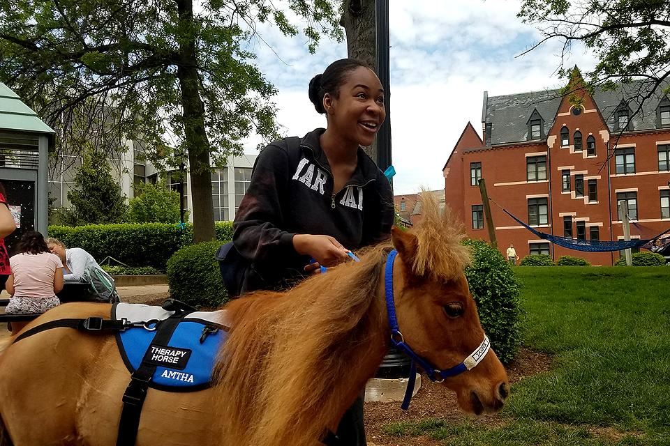 Equine therapists from Heartland Mini-Hoofs were on campus Monday, May 6, as part of "De-Stress with DPS," co-sponsored by the Departments of Public Safety and Campus Wellness and Recreation. Photo by Joe Taylor