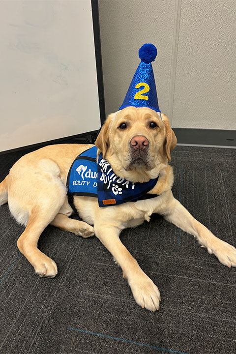 Woody wears a pointy birthday hat that says 2. 