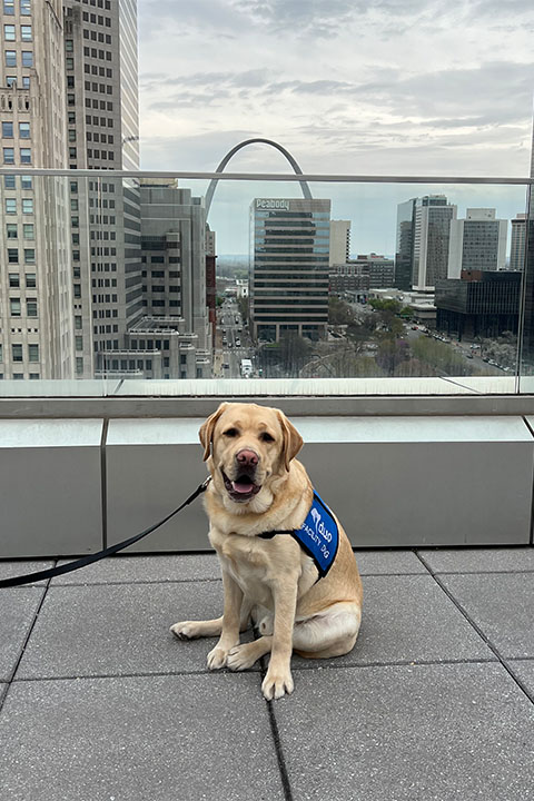 Woody sits on an outdoor balcony. The Gateway Arch is in the background, perfectly centered above his head.