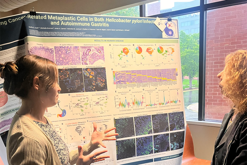Researchers collaborate on Science Day. 