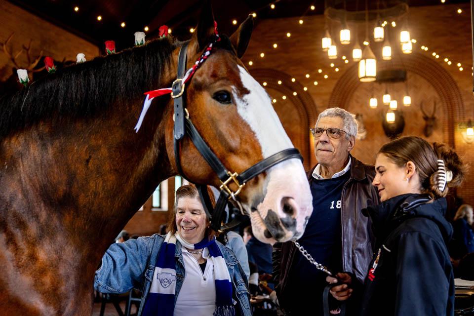 President Fred P. Pestello, Ph.D., and First Lady Fran Pestello, Ph.D., pet a Clydesdale during a celebration for the Pestellos with the SLU community at Grant’s Farm on April 27, 2025. Photo by Sarah Conroy.