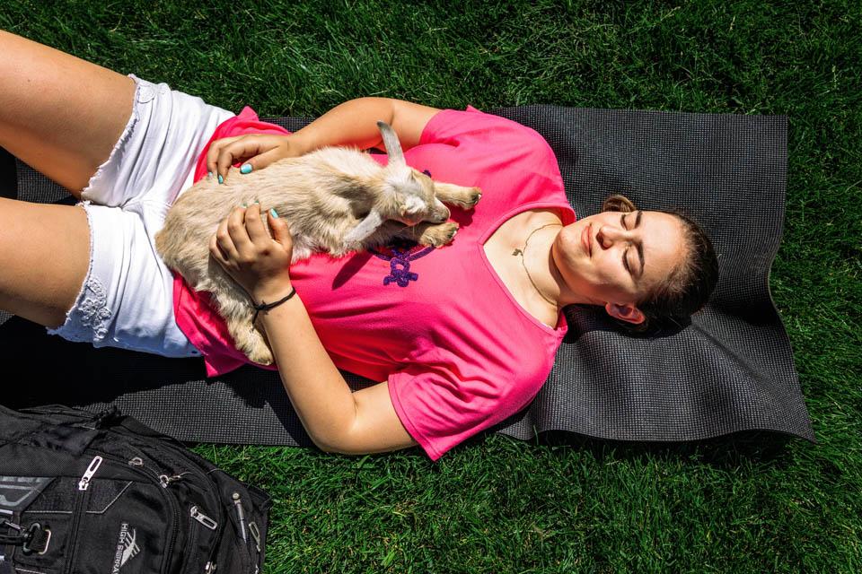 Students participate in goat yoga before the start of final exams on May 6, 2025. Photo by Sarah Conroy.