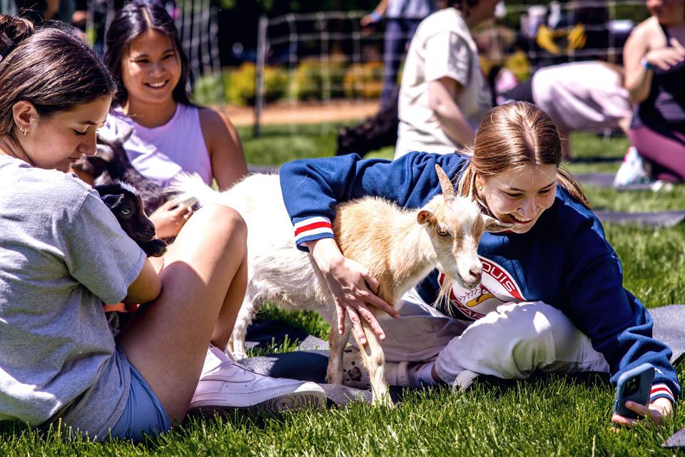 Students take selfies with goats before the start of final exams on May 6, 2025. Photo by Sarah Conroy.