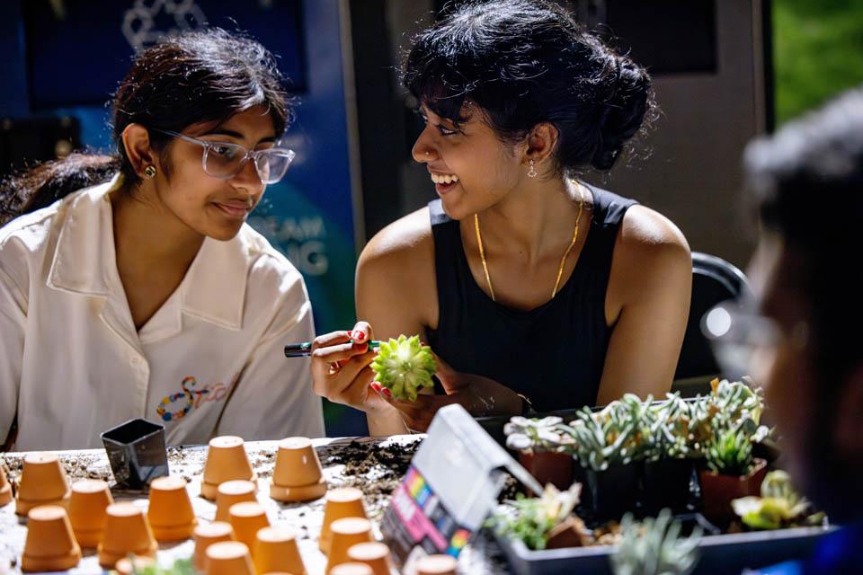 Students plant succulents during the Billiken Block Party on Aug. 16, 2025. Photo by Sarah Conroy.