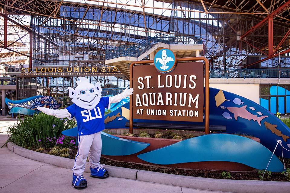 The St. Louis Aquarium is located in downtown St. Louis at Union Station.