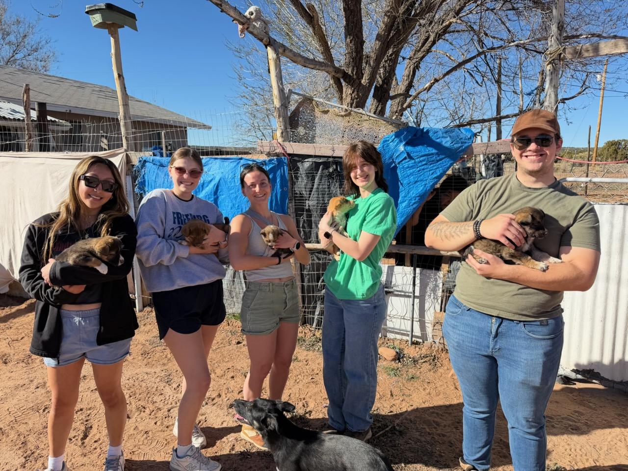Students hold puppies on their Navajo Nation Immersion experience.