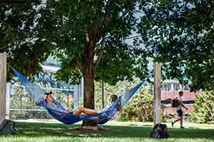 view of a student in a hammock on the quad