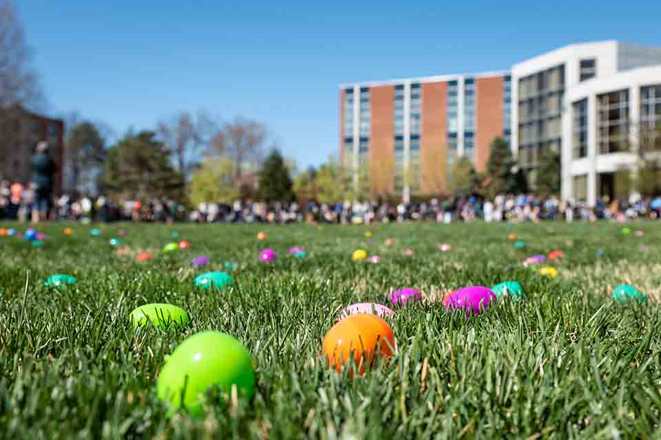 Easter Egg Hunt 2021 Colorful Easter eggs lay in the grass on SLU's quad in front of Pius XII Memorial Library. In the background, dozens of Egg Hunt participants are lined up at the edge of the lawn waiting for the hunt to begin.