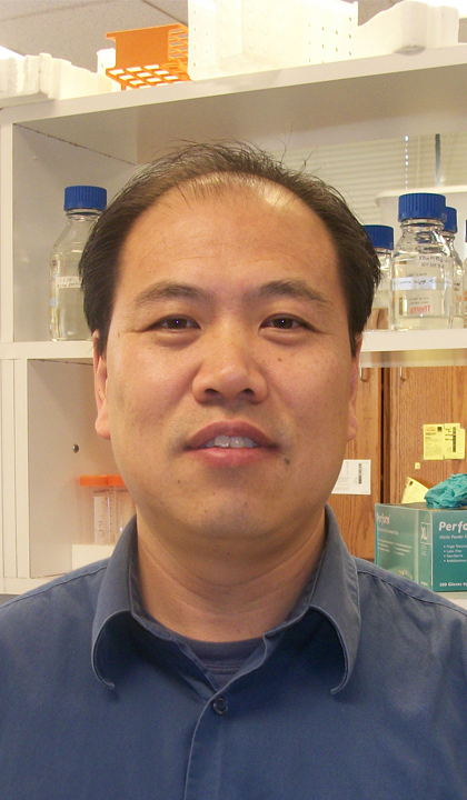 Wenyan Xiao, Ph.D.