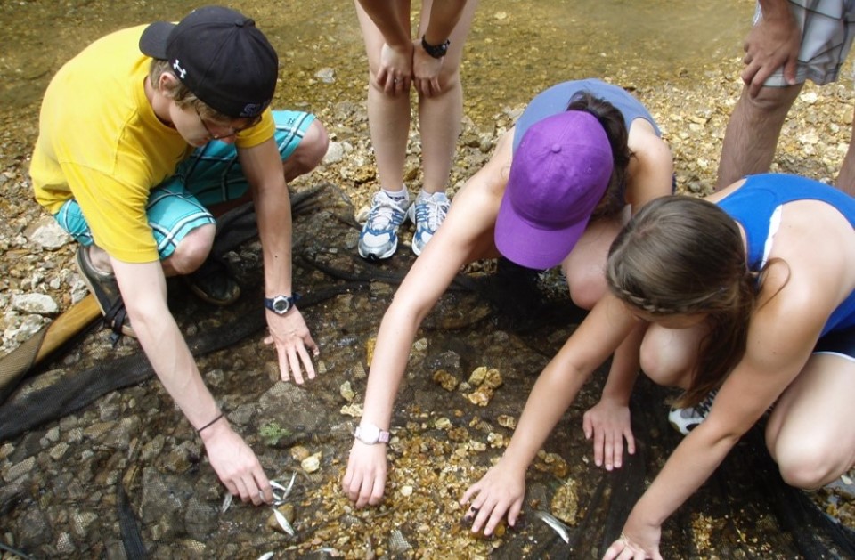 Students crouch in a circle, examining and pointing at objects in a pool of water.
