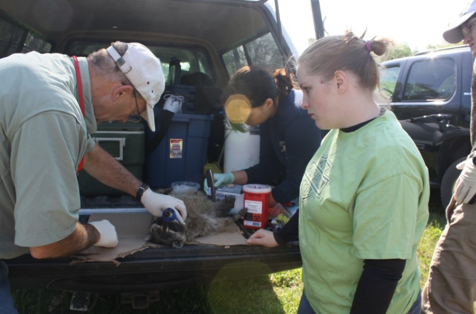 A student and professor examine biological samples using equipment placed on the back of a truck.