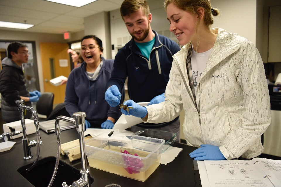 cray fish lab