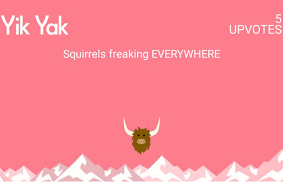 Squirrel yik yak