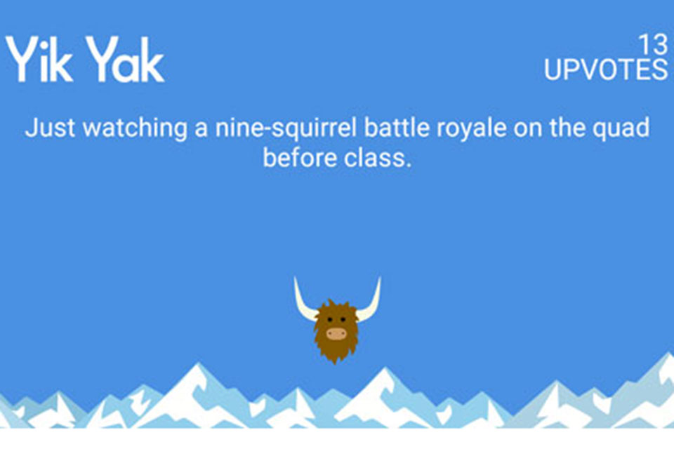 Squirrel yik yak 3