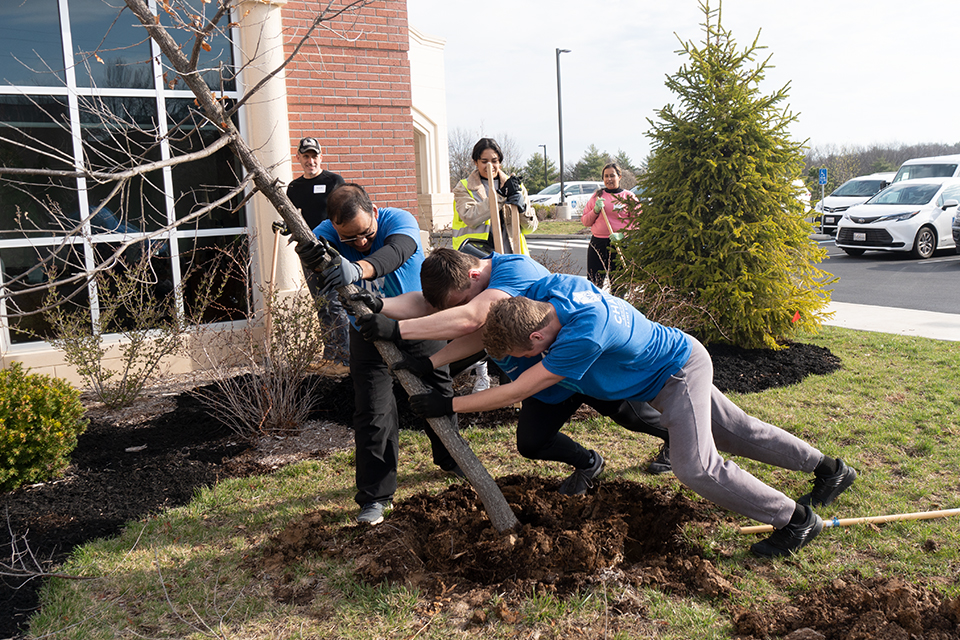 Service Day 2022