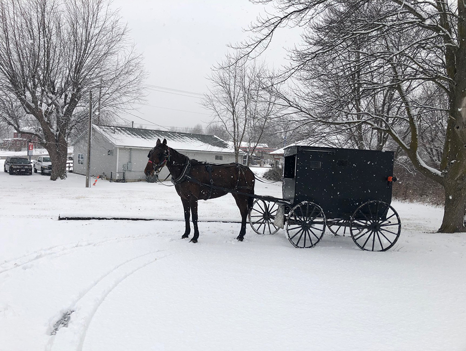 Amish Horse and Buggy in snow
