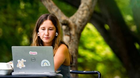 Student working online under a tree. Student working online under a tree.