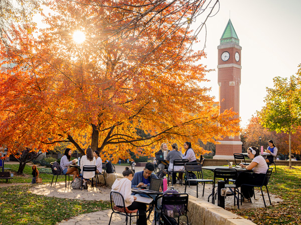 Students study near the clock tower on SLU's campus