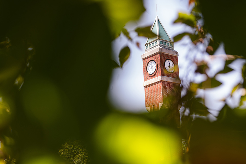 An image of the clocktower seen through tree branches.