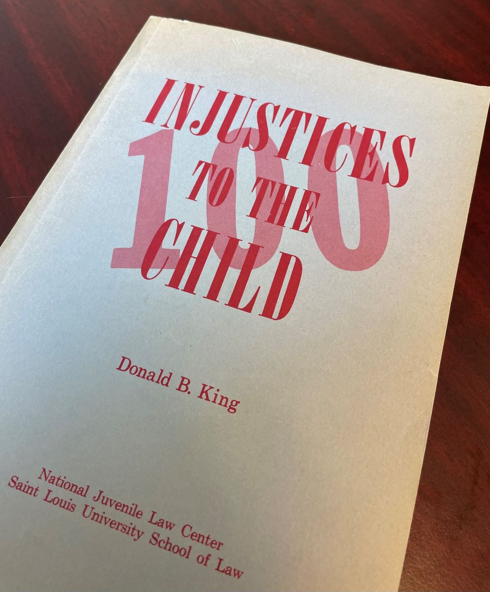 Book cover for 100 Injustices to the Child by Donald B. King