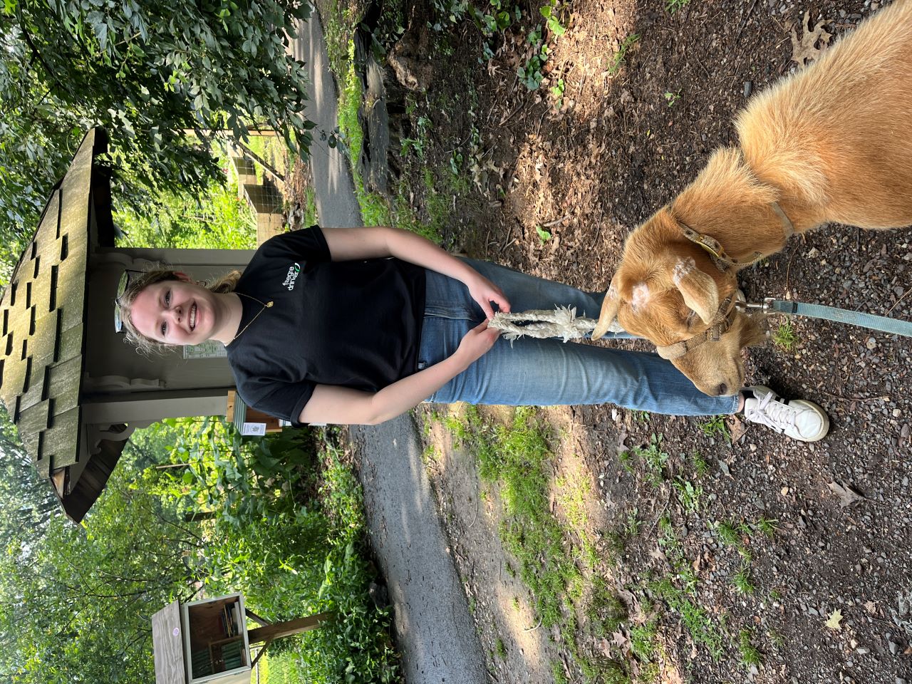 Katherine Tanis stands outside on a wooded walking path with a tan goat that she has on a leash Katherine Tanis is outside with a tan goat that is walking