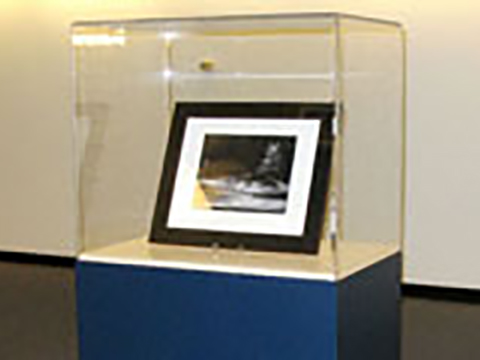 Exhibit Case - Blue Pedestal