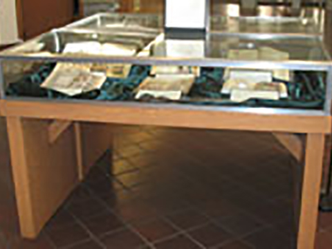 Exhibit Case - Wooden Slab Table