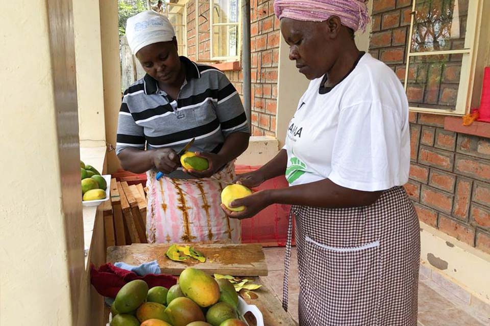 Women prepare mangos for dehydration.