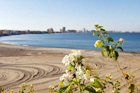 SLU-Madrid's newest major allows students to develop scientific understanding of the earth's natural systems and their interconnections with human society.