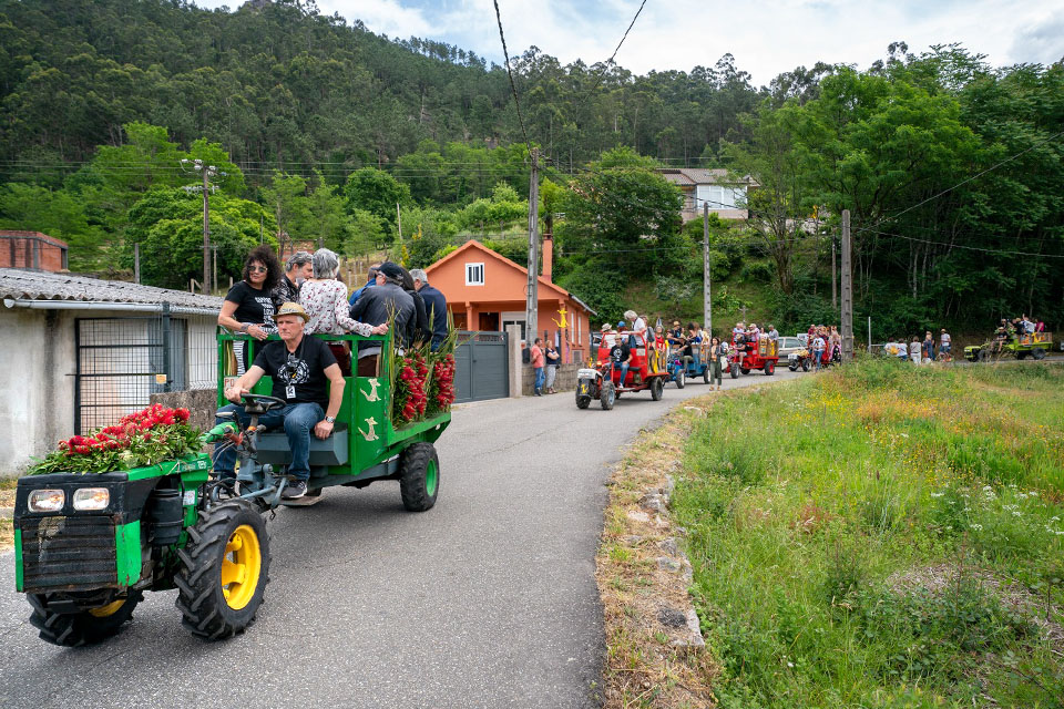 A line of tractors travel down a narrow road in the countryside. Each tractor carries several people and is covered in flowers.