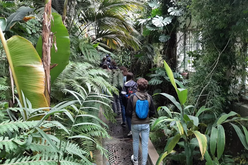 A group of students are seen from behind as they walk through a large greenhouse willed with lush plants.