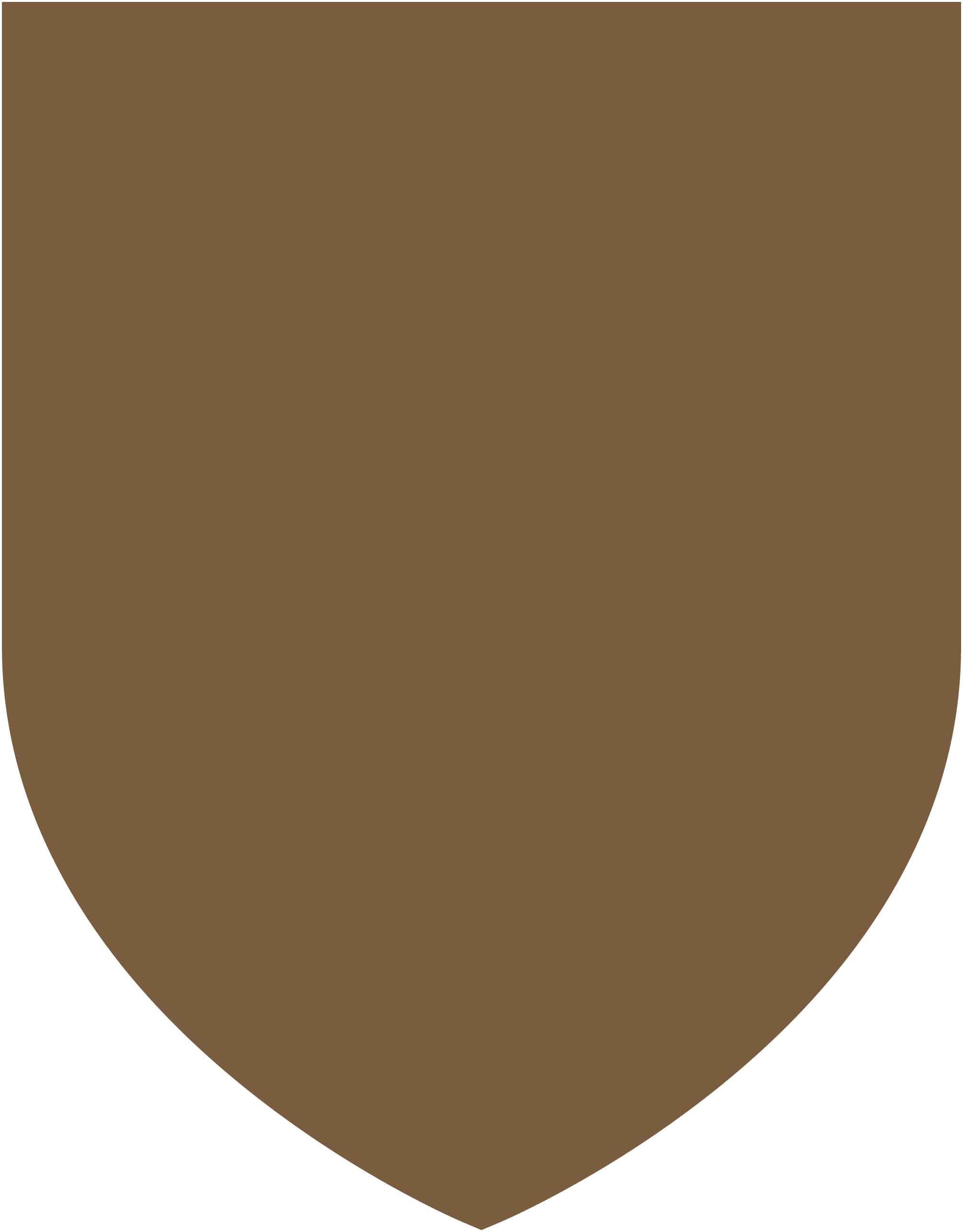 Billiken Bronze Shield