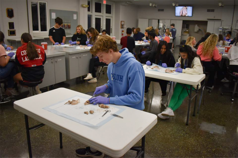 A photo of an aims camp participant dissecting a sheep eye