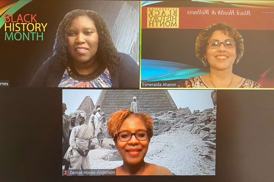 Screesnhot of a Zoom webinar with panelists Alicia Barnes, DO, MPH, Denise Hooks-Anderson, M.D., and Esmeralda Aharon, M.A.