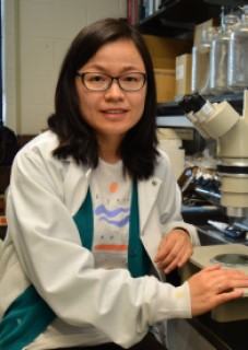 Ying Li, Ph.D. Ying Li, Ph.D.