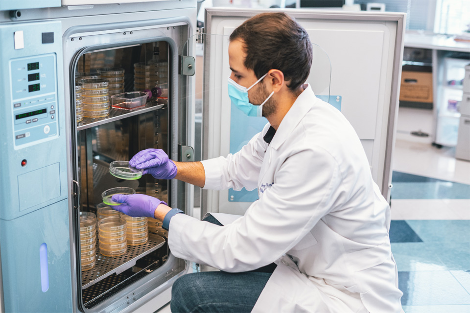 A lab worker removes samples from a storage safe