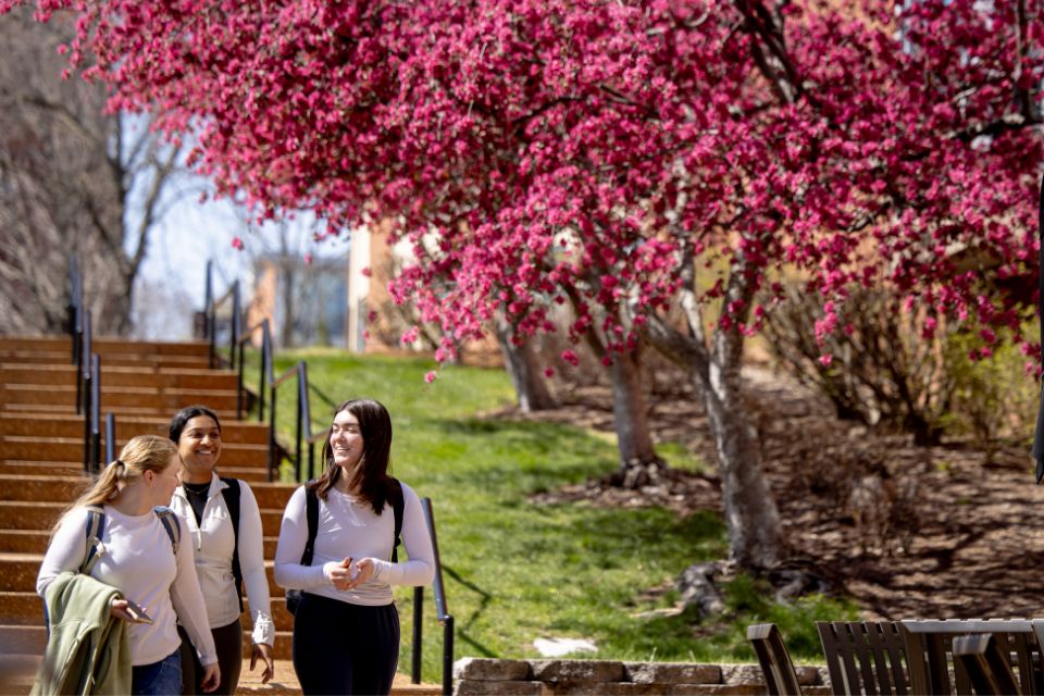 Three medical students walk through the medical campus next to trees blooming with pink flowers.
