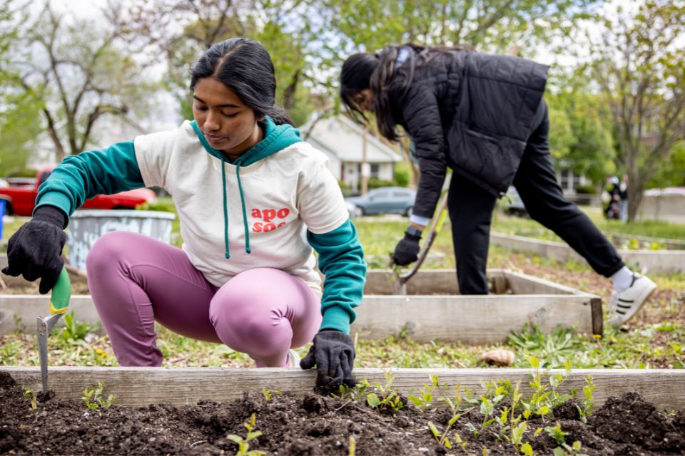 An outdoor shot of two students working in community garden beds.